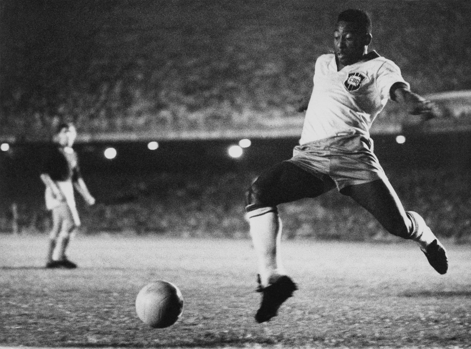 Pelé life history
