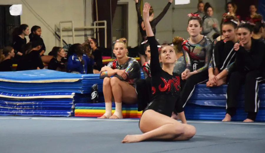 Northpointe Gymnastics: Training Young Athletes