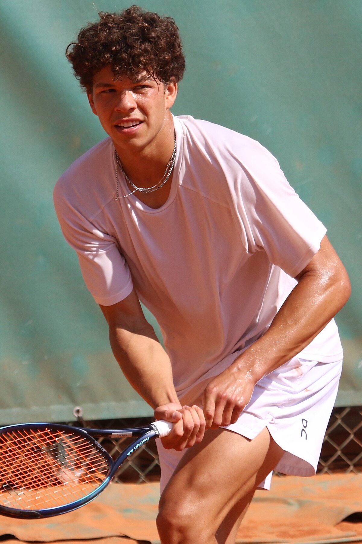 Lisa Shelton Tennis: Player Profile and Achievements