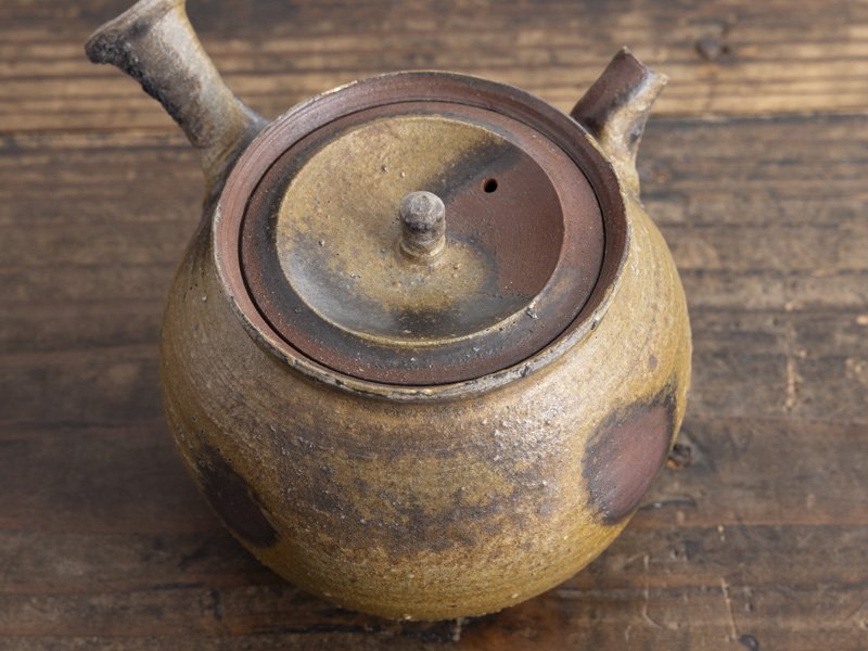 Takanori Nishi - Life History