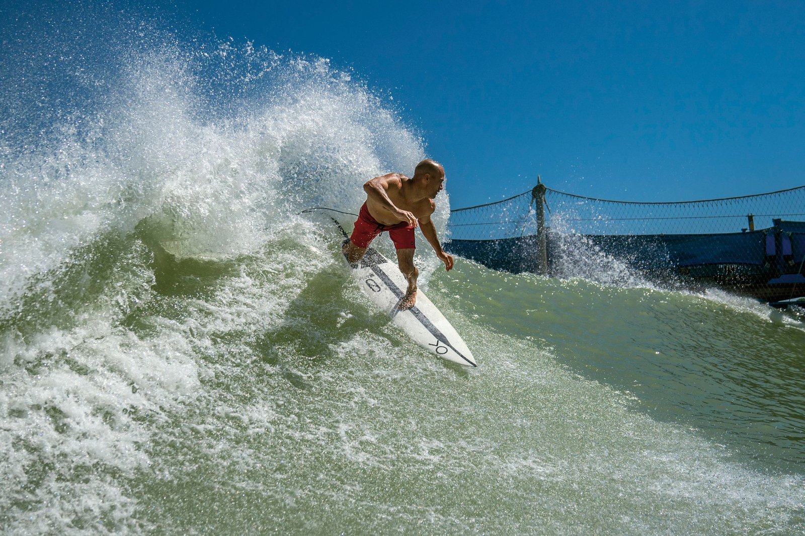 Surfing Deer: Nature Meets Surf in This Unusual Phenomenon