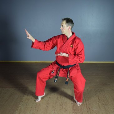Karate Stance: the Basics