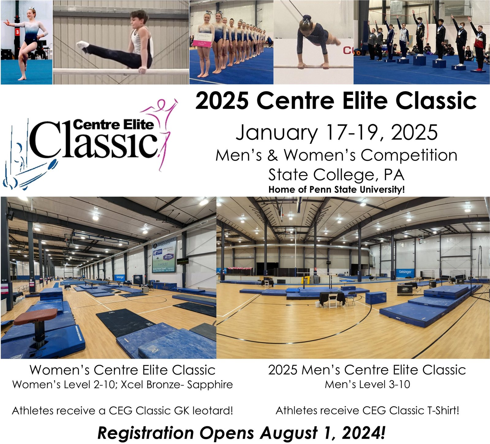 Elite Gymnastics: Training and Competing at the Highest Level