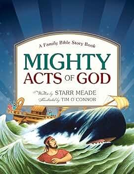 Tim O’Connor - Life History