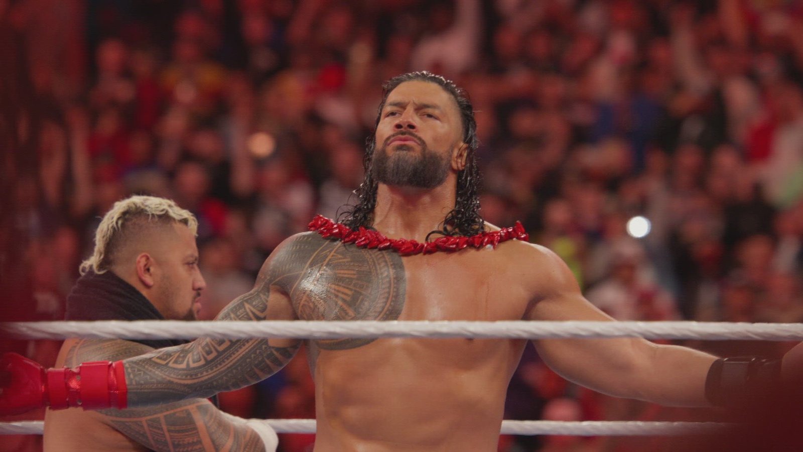 Roman Reigns - Life History