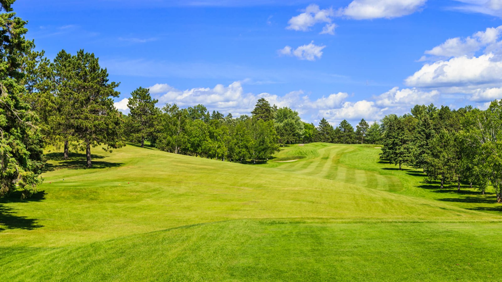 Town and Country Golf Club: Exclusive Membership Experience