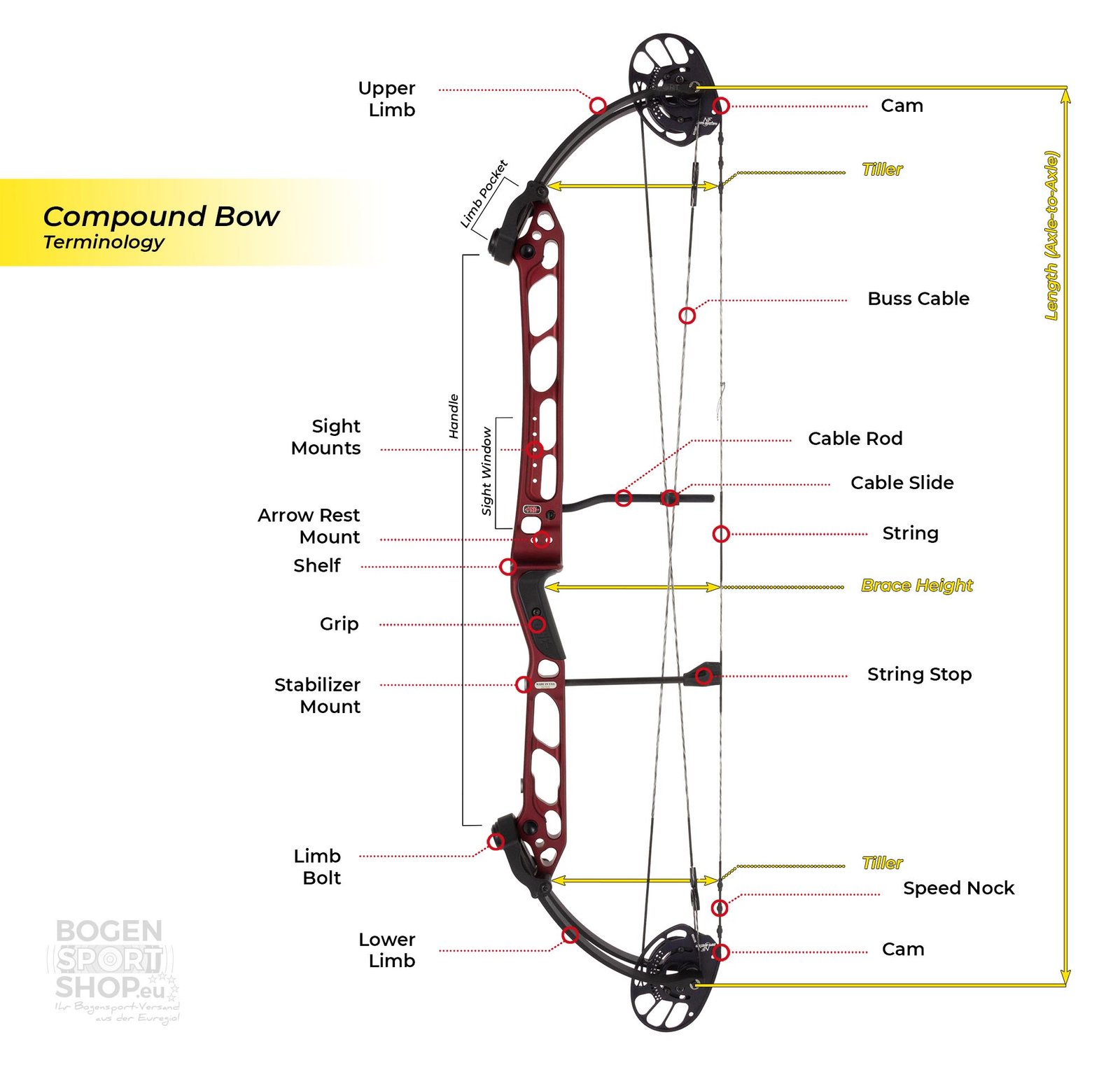 Archery Terms: A Glossary for Beginners