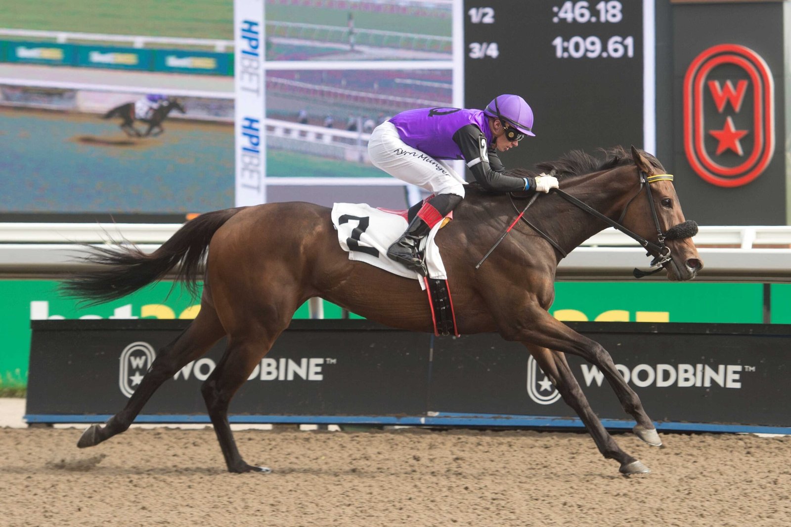 Woodbine Horse Racing: Guide to Betting and Events