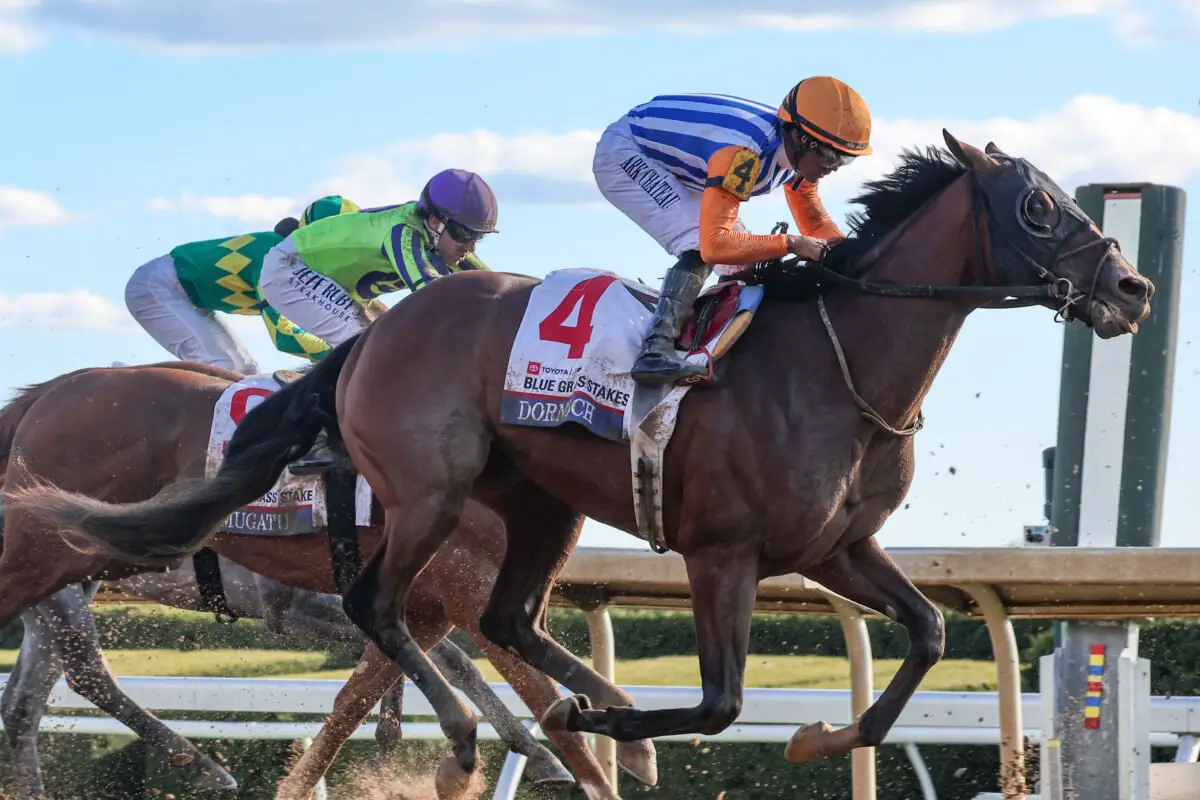 The Life of a Horse Racing Fan: What Makes This Sport So Exciting