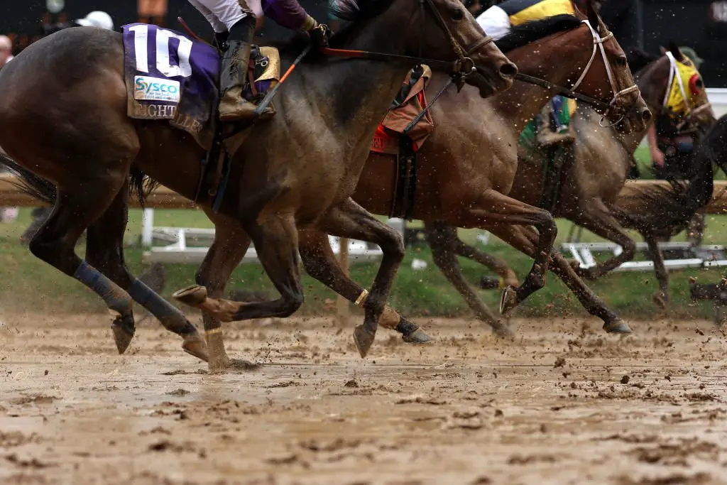 Show Bet in Horse Racing: How to Bet and What It Means