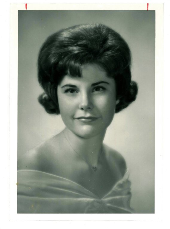 Laura A. D. Johnson - Life History