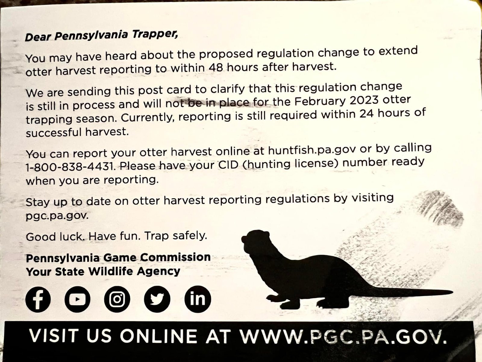 PA Archery Season: Dates, Regulations, and Tips