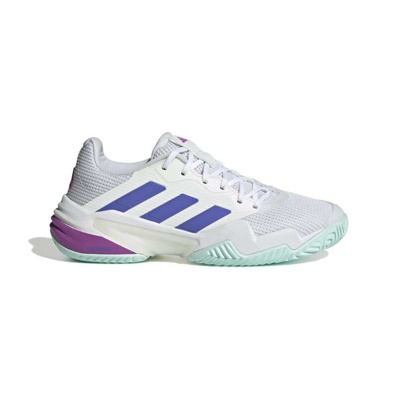 Experience Unmatched Comfort and Support with Barricade Tennis Shoes