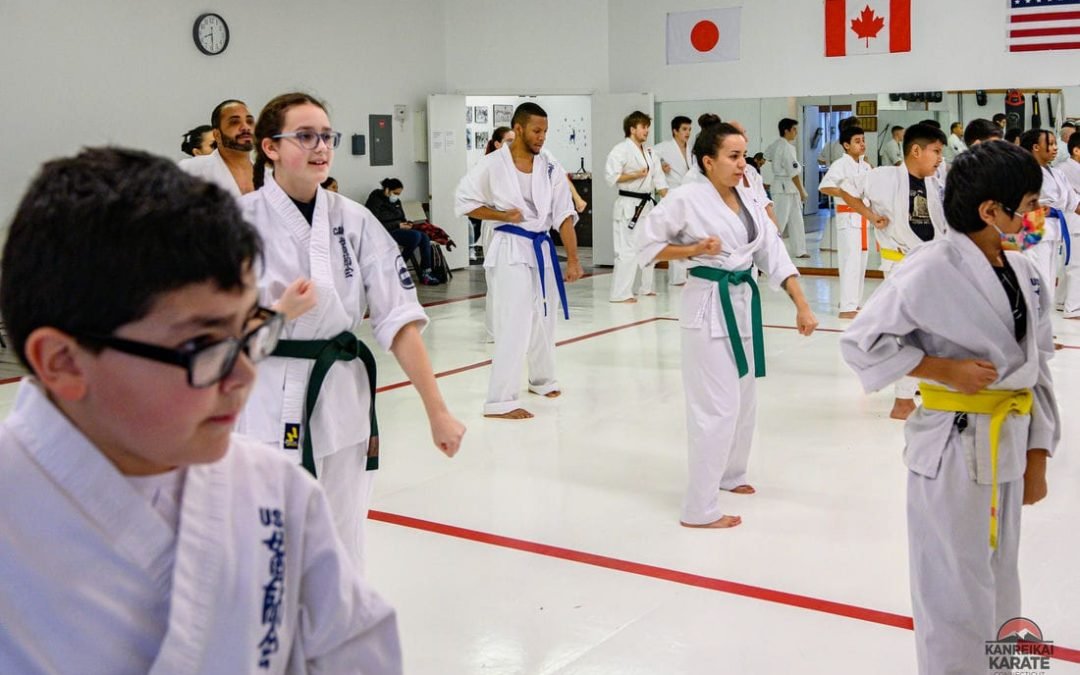 Karate Belts in Order: Understanding the Ranks