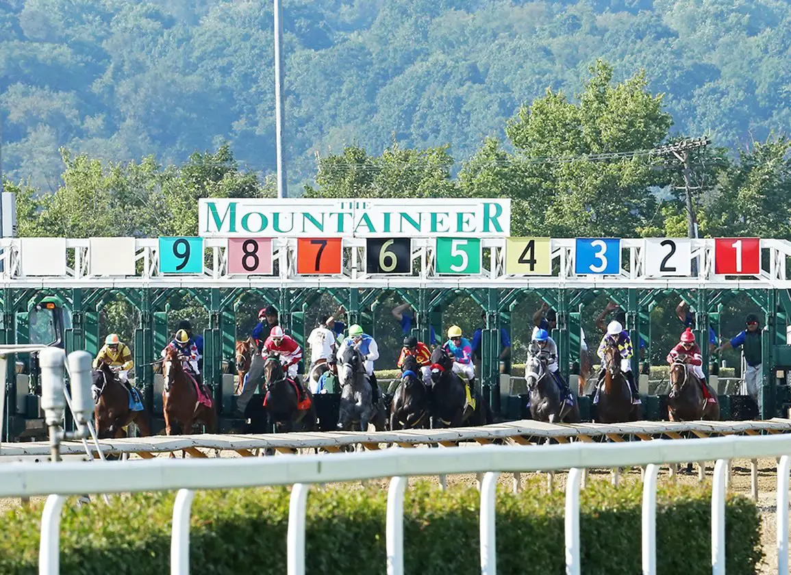 Mountaineer Horse Racing: Schedule, Results, and Tips