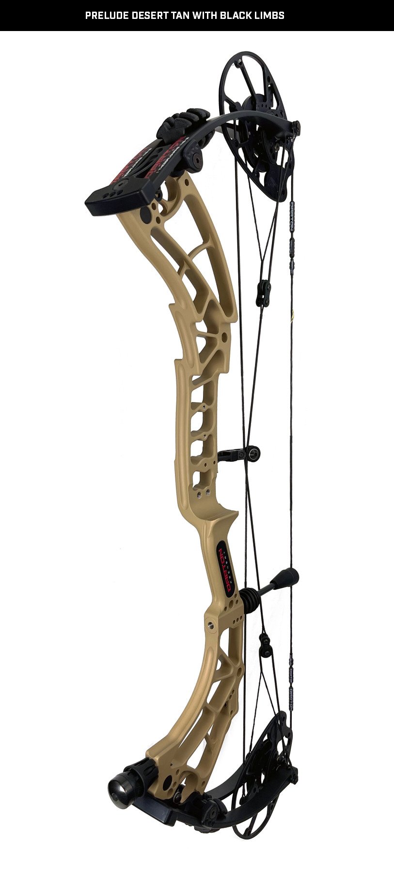 Darton Archery: High-Performance Bows for Every Archer
