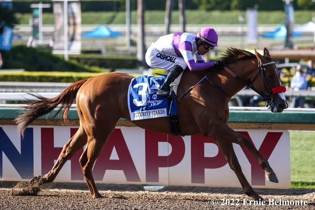 What It Means to Be a Horse Racing Fan: The Thrill of the Track