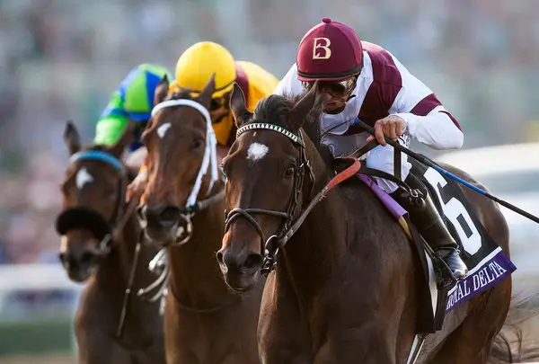 What Does Show Mean in Horse Racing? Betting Explained