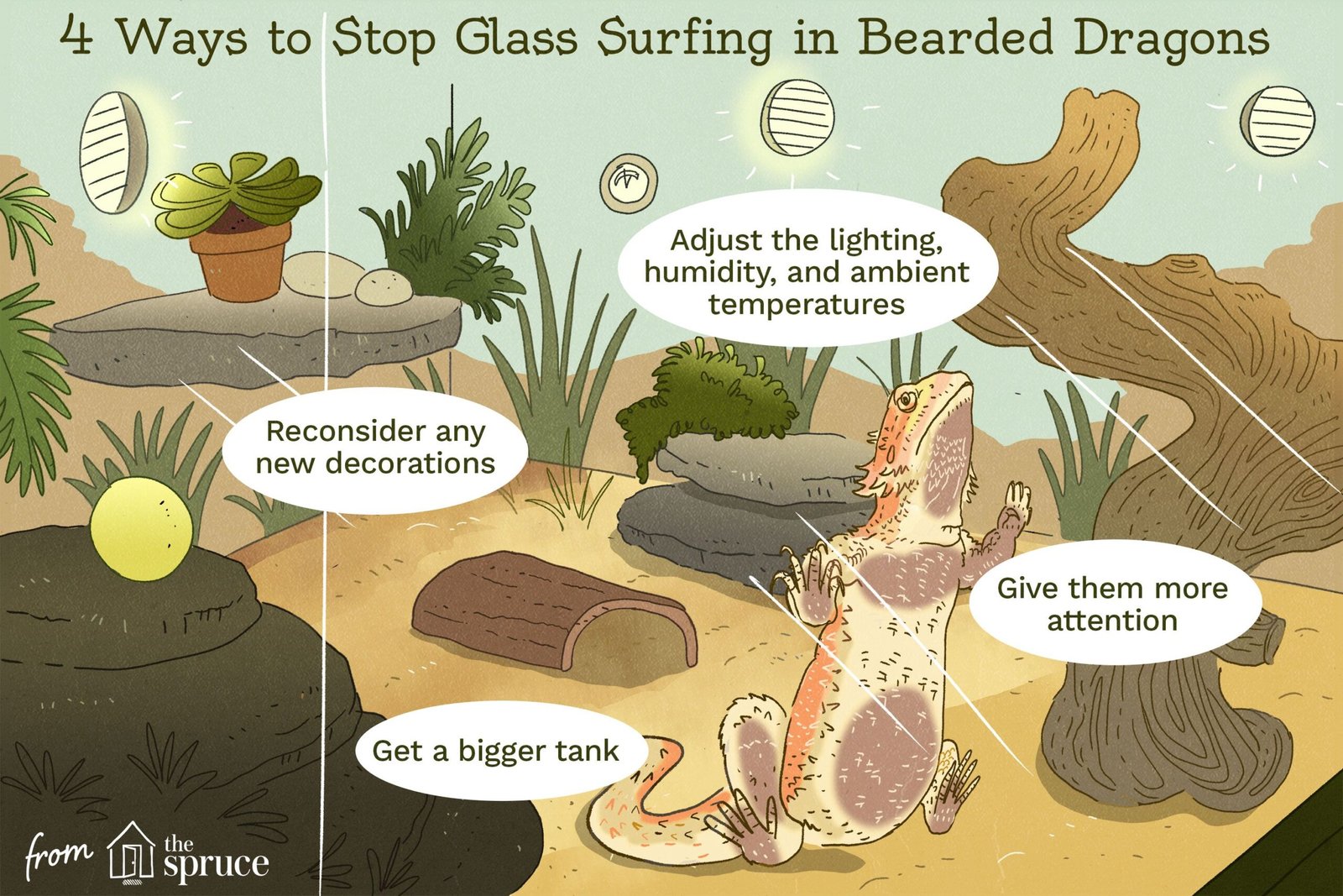 Why Is My Bearded Dragon Glass Surfing? Causes and Solutions