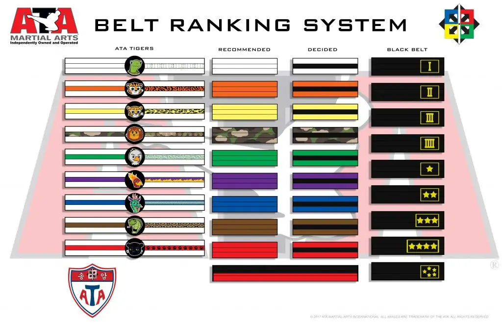 Karate Belt Colors in Order: Understanding the Journey