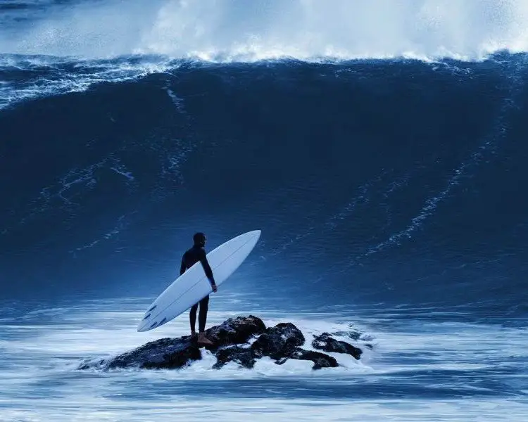 Best Surfing Documentaries: Films That Capture the Spirit of Surfing