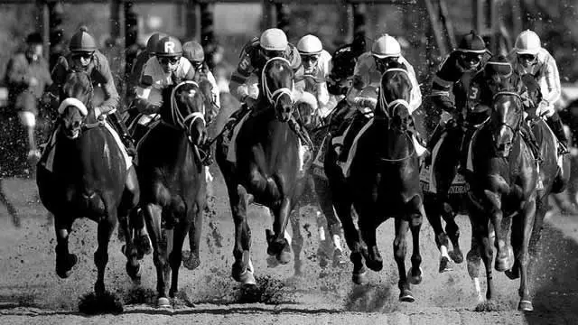 Dover Downs Horse Racing: Events, Betting, and Results
