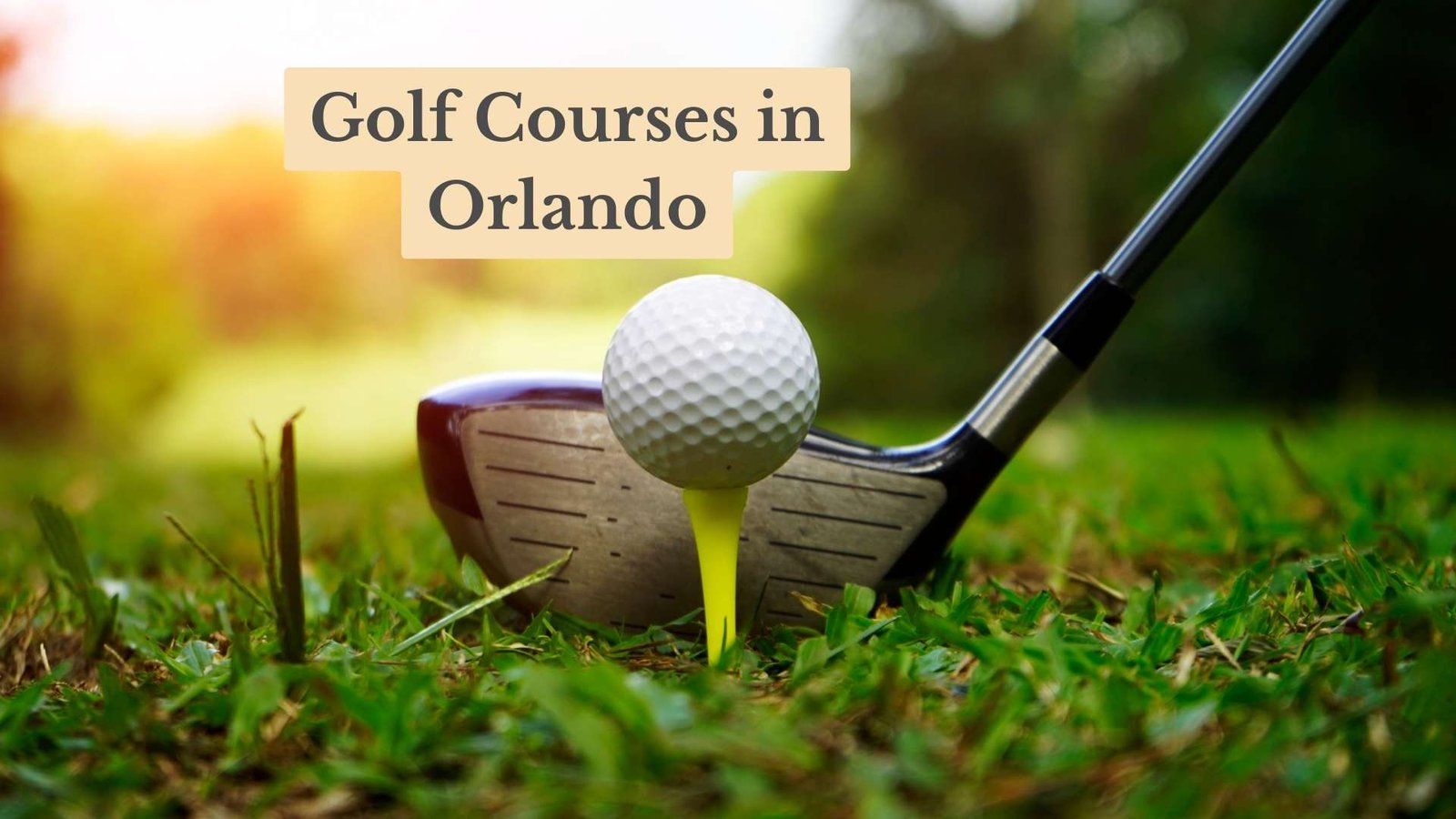 Aoki Golf: Celebrating Diversity in the Golf World