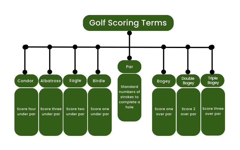 Eagle in Golf Meaning: Understanding Golf Terminology