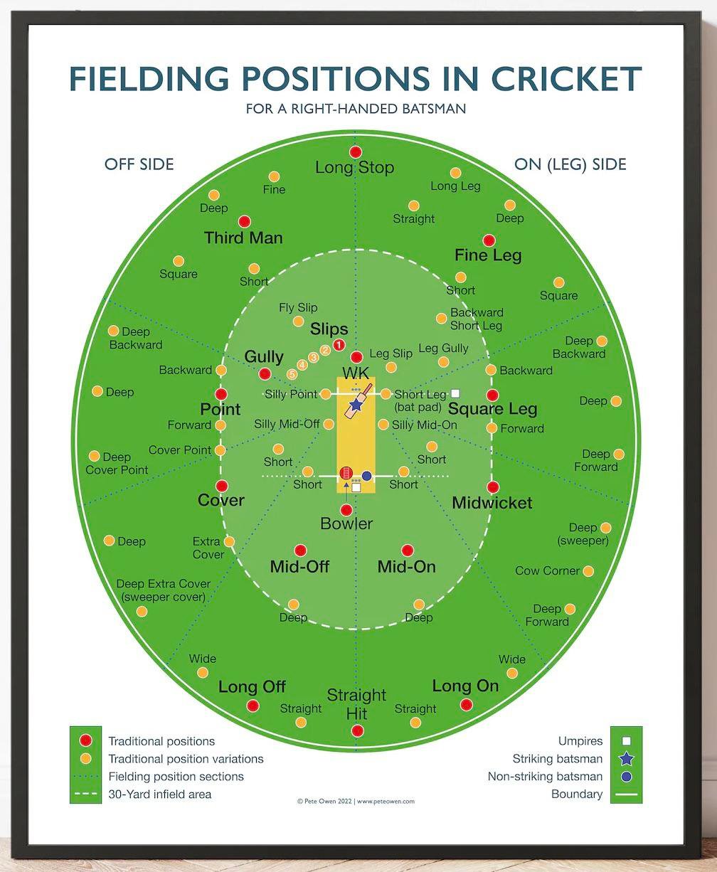 Cricket Positions: A Complete Guide to Fielding and Batting