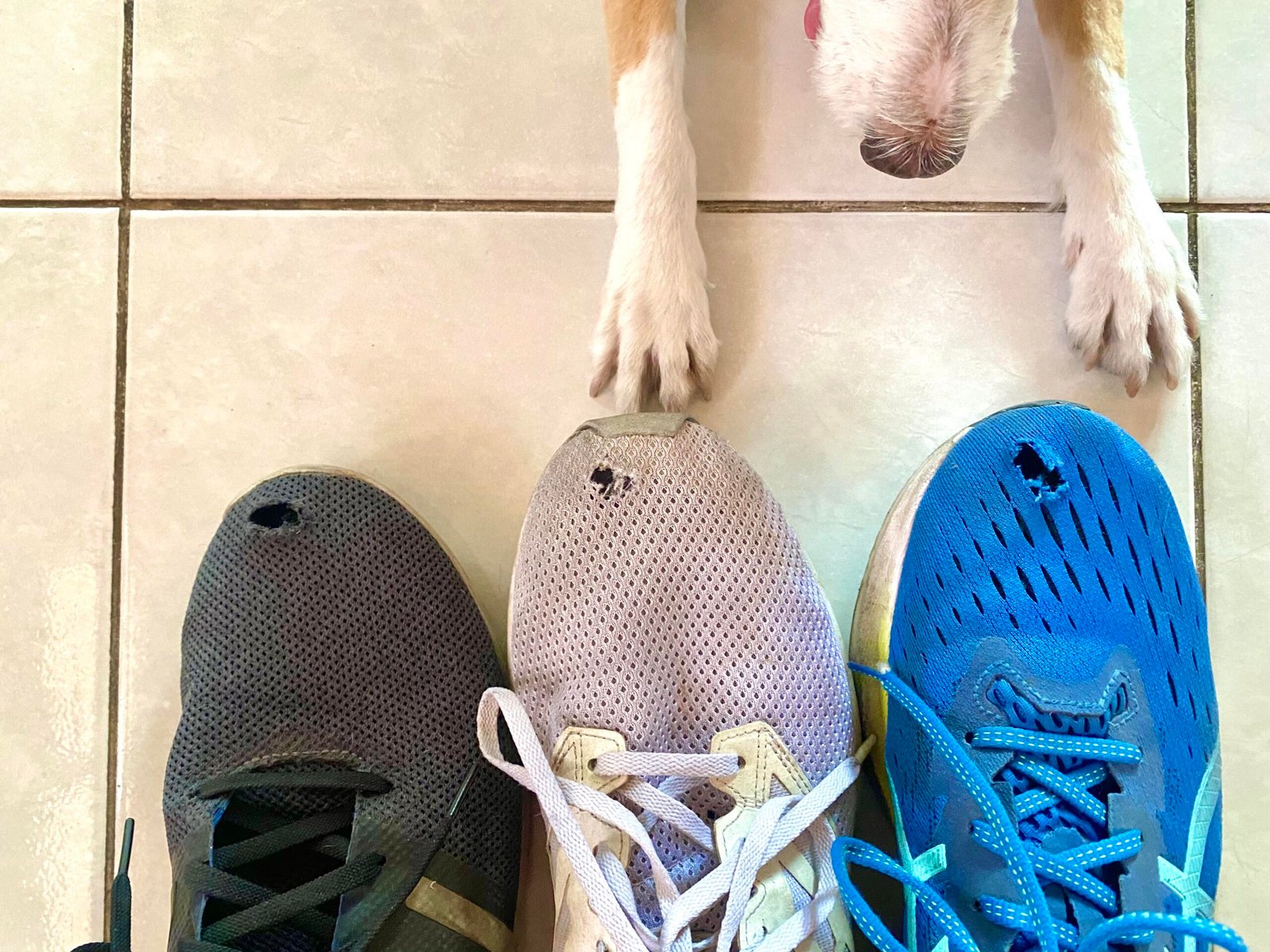Wide Tennis Shoes: The Perfect Fit for Every Foot Shape and Comfort Level