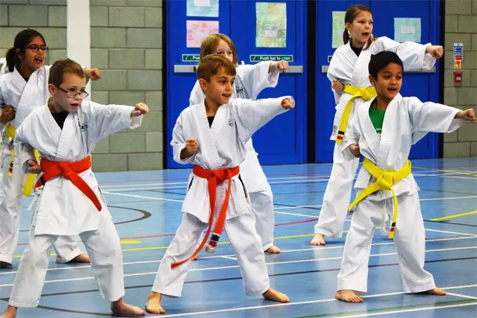 Karate for Kids Near Me: Classes for All Ages