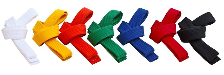 Karate Belt Order: A Complete Guide to Progression