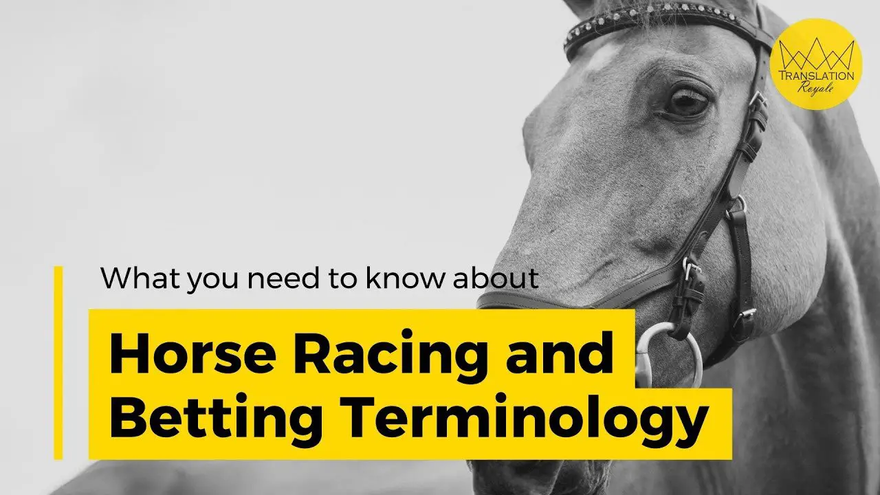 Horse Racing Betting Terms: A Glossary for Beginners