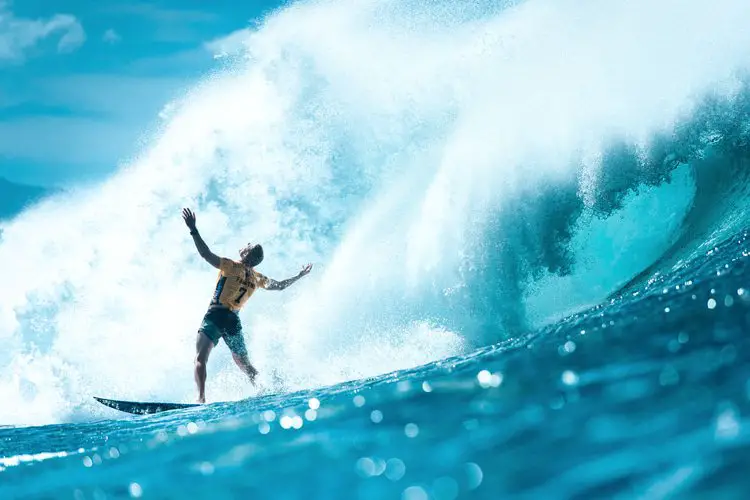 Mick Fanning - Life History
