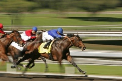 What Does Place Mean in Horse Racing? Betting Tips
