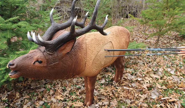 Best 3D Archery Targets for Realistic Hunting Practice