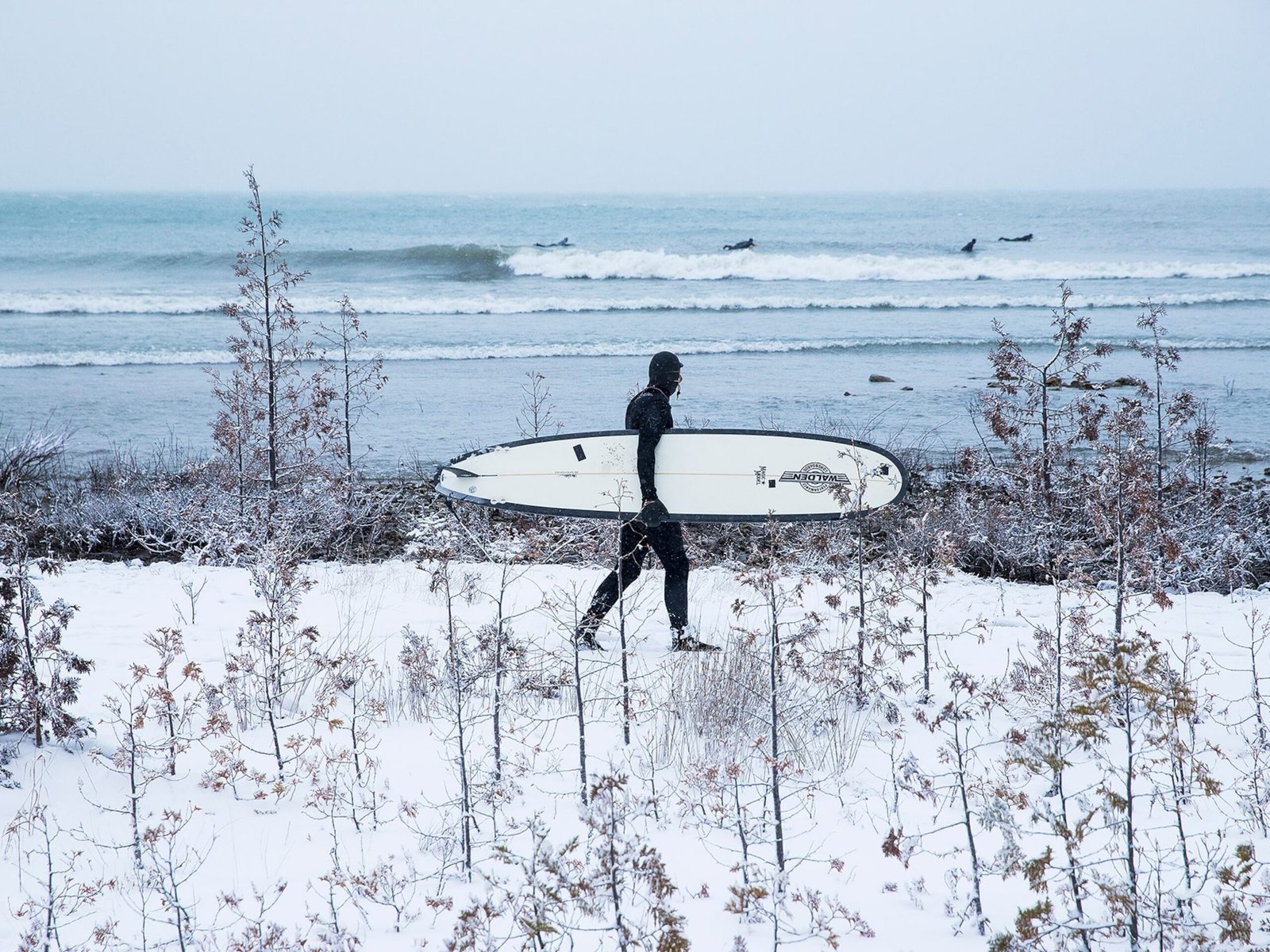 Surfing Lake Michigan: Catching Waves in the Great Lakes