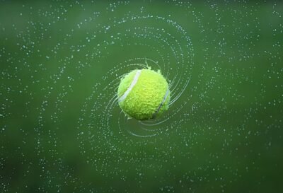 Why Do Dogs Love Tennis Balls? Exploring the Attraction