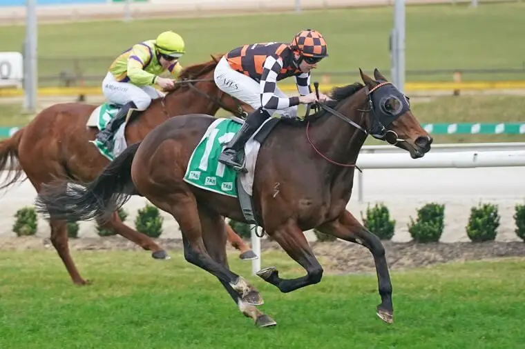 Horse Racing Betting Strategies: Tips for Winning Big
