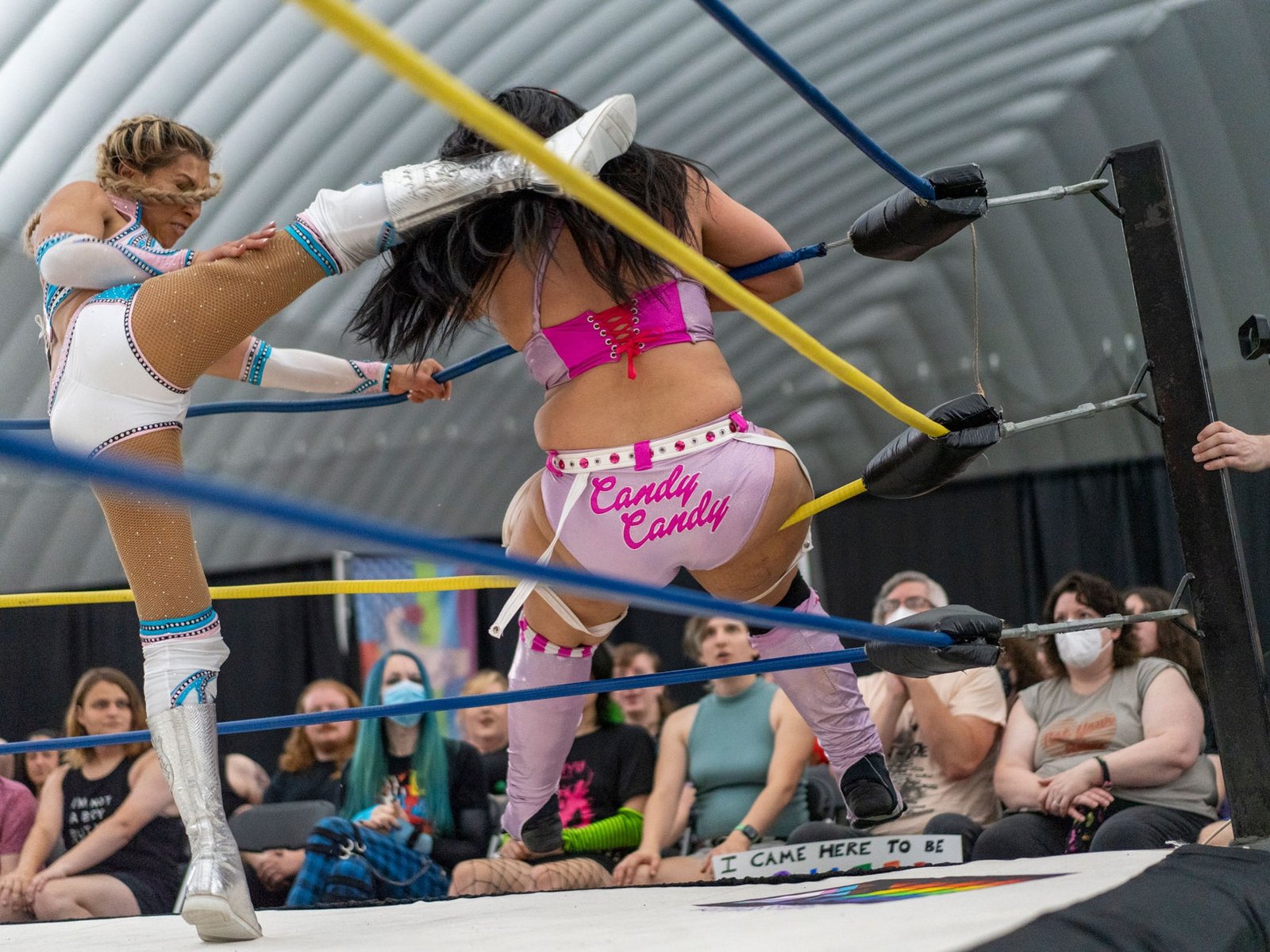 Exploring Gay Wrestling: Representation in Adult Entertainment