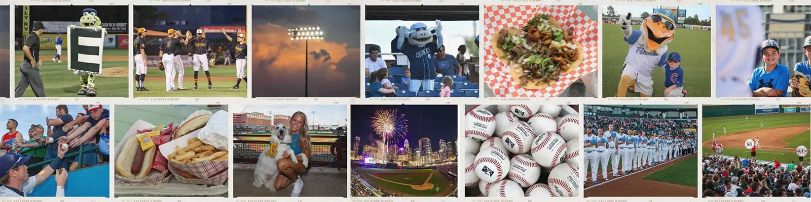 The Goods Baseball Bat: In-Depth Features and Comprehensive Reviews You Need to Know
