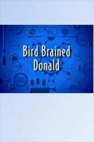 Bird Brained Donald