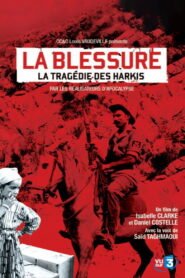 An Unhealed Wound – The Harkis in the Algerian War