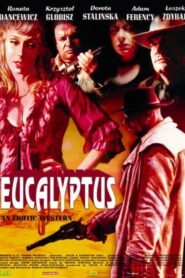Eucalyptus