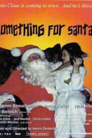 Something for Santa